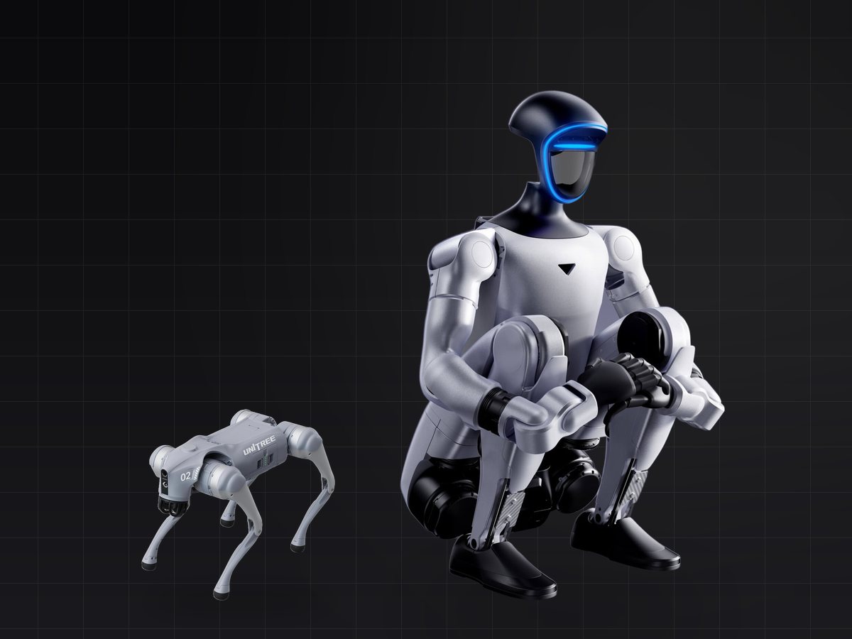 Humanoid robot: festivals
