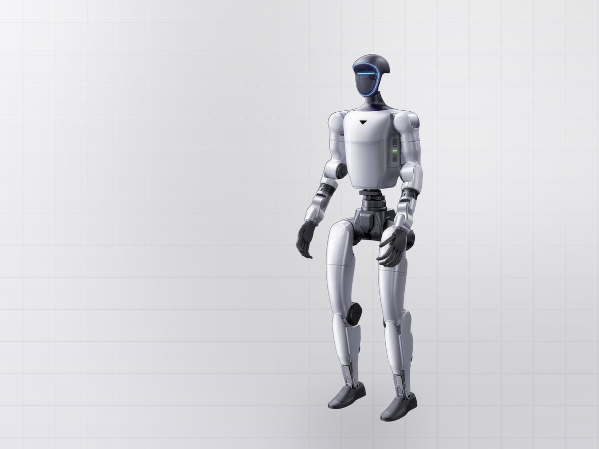 Humanoid robot: schools